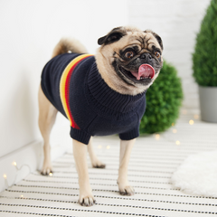 GF Pet Retro Sweater - Navy | Sculpted Turtleneck Sweater with Retro Design | Stylish & Comfortable