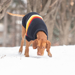 GF Pet Retro Sweater - Navy | Sculpted Turtleneck Sweater with Retro Design | Stylish & Comfortable