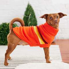 GF Pet Retro Sweater - Orange | Trendsetting Retro Design for Stylish Dogs