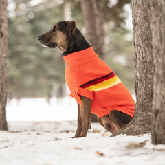 GF Pet Retro Sweater - Orange | Trendsetting Retro Design for Stylish Dogs