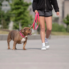 Reflective Leash - Neon Pink | High-Visibility & Durable Nylon – Perfect for Safe Walks