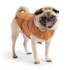 Insulated Raincoat for Dogs - Hazel | Waterproof & Warm Dog Coat | GF PET® Elasto-FIT®