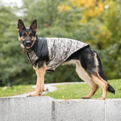 US Army Dog Jacket - Camo | Official Licensed Dog Coat for Sporty Dogs