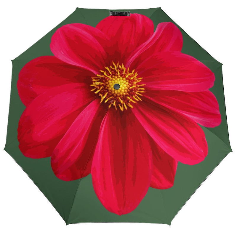 Red Daisy Flower Print Auto Umbrella with Anti-UV coating