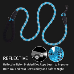 5 FT Thick Highly Reflective Dog Leash - Red | Durable & Comfortable for All Dog Sizes