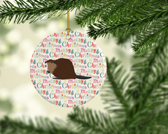 Eurasian Beaver Christmas Ceramic Ornament – Personalized Holiday Decor, High-Quality Porcelain, Perfect Gift Idea