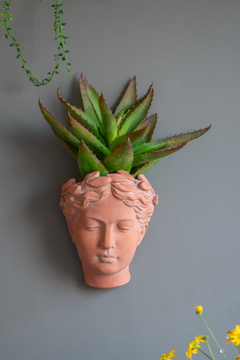 Antique-Inspired Visage Head Bust Planter – 7x5.5x9" Brown Cement Home & Garden Wall Planter