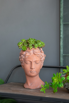 Elegant D7x11" Visage Head Bust Planter, Brown – Antique Inspired Design for Home & Garden