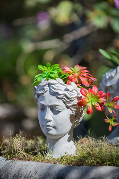 Greek Style Cement Head Planter - Unique Indoor Outdoor Home Garden Decor, 7" x 11"