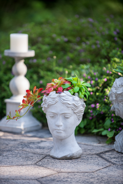 Greek Style Cement Head Planter - Unique Indoor Outdoor Home Garden Decor, 7" x 11"