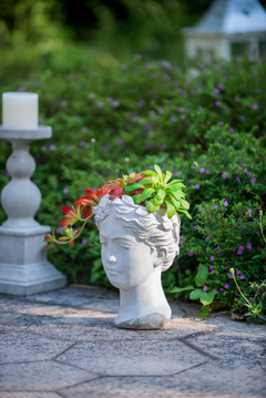 Greek Style Cement Head Planter - Unique Indoor Outdoor Home Garden Decor, 7" x 11"