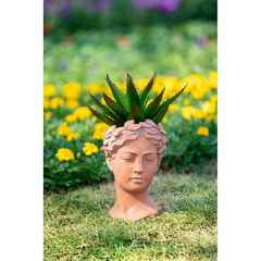 Elegant D7x11" Visage Head Bust Planter, Brown – Antique Inspired Design for Home & Garden