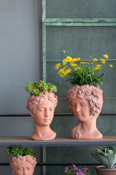 8x9x11.5" Greek Style Brown Head Bust Planter - Cement Indoor Outdoor Garden Decor