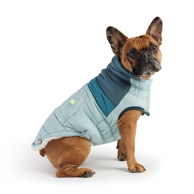 Retro Puffer - Light Blue | Fashionable and Functional Dog Jacket