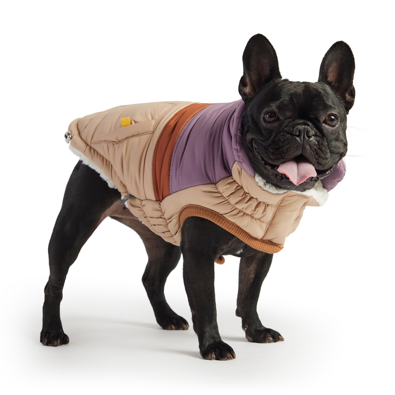 Retro Puffer - Sand Dog Coat | Fashionable & Warm | GF PET Elasto-FIT