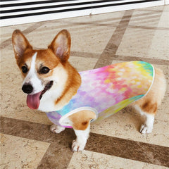 Colorful Breathable Mesh Pet Vest Tank Top