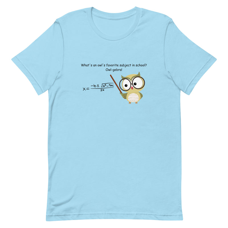 Funny Math T-shirt Owl Algebra Unisex t-shirt gift for someone who loves math Math Teacher